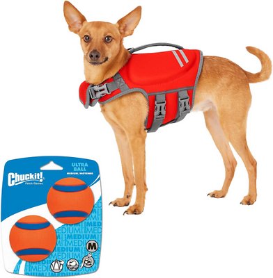 Bundle: Frisco Neoprene Life Jacket + Chuckit! Ultra Rubber Ball Tough Dog Toy, Small