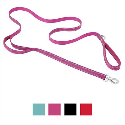 Frisco Outdoor Nylon Reflective Comfort Padded Dog Leash, Boysenberry Purple, Medium - Length: 6-ft, Width: 3/4-in