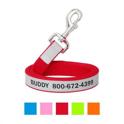 Frisco Solid Polyester Personalized Reflective Dog Leash, Small: 6-ft long, 5/8-in wide, Red