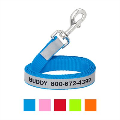 Frisco Solid Polyester Personalized Reflective Dog Leash, Small: 6-ft long, 5/8-in wide, Blue