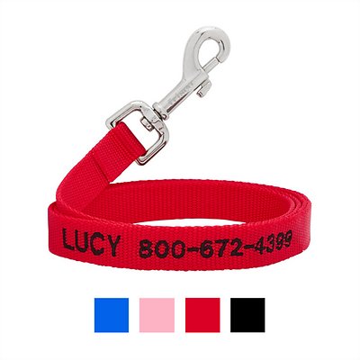 Frisco Solid Nylon Personalized Dog Leash, X-Small: 6-ft long, 3/8-in wide, Red