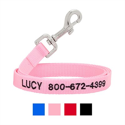 Frisco Solid Nylon Personalized Dog Leash, X-Small: 6-ft long, 3/8-in wide, Pink