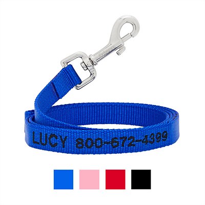 Frisco Solid Nylon Personalized Dog Leash, X-Small: 6-ft long, 3/8-in wide, Blue