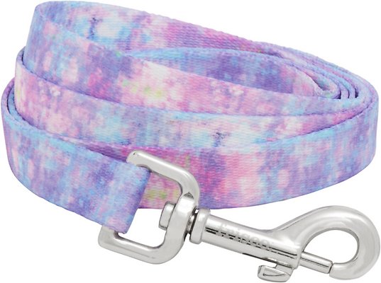 Frisco Spring Rainbow Dog Leash, SM - Length: 6-ft, Width: 5/8-in