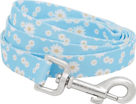 Frisco Ditsy Daisy Dog Leash, SM - Length: 6-ft, Width: 5/8-in