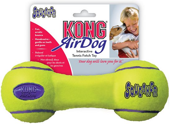KONG AirDog Dumbbell Dog Toy, Small