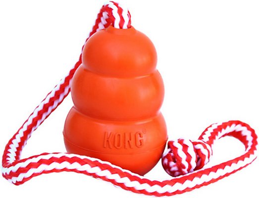 KONG Aqua Dog Toy, Medium