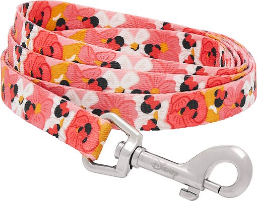 Disney Minnie Mouse Floral Dog Leash, SM - Length: 6-ft, Width: 5/8-in