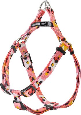 Disney Minnie Mouse Floral Dog Harness, XS - Girth: 12- 18-in, Width: 3/8-in