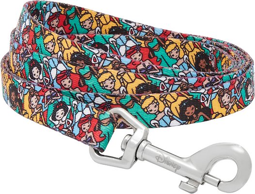 Princess Dog Leash, SM - Length: 6-ft, Width: 5/8-in