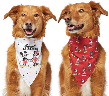 Disney Mickey Mouse &amp; Minnie Mouse "Sweet As Can Be" Reversible Dog &amp; Cat Bandana, X-Small/Small