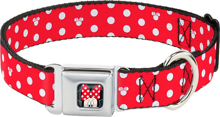 Buckle-Down Minnie Mouse Polka Dot Polyester Seatbelt Buckle Dog Collar, Medium: 11 to 17-in neck, 1-in wide