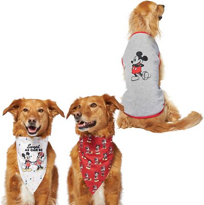 Disney Mickey Mouse &amp; Minnie Mouse "Sweet As Can Be" Reversible Bandana, X-Small/Small + Mickey Mouse Classic Dog &amp; Cat T-shirt, Gray