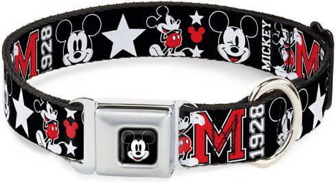 Buckle-Down Mickey Mouse Polyester Dog Collar, Small: 9 to 15-in neck, 1-in wide