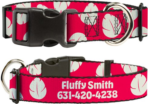 Buckle-Down Disney Lilo &amp; Stitch Bounding Lilo Dress Leaves Polyester Personalized Dog Collar, Medium