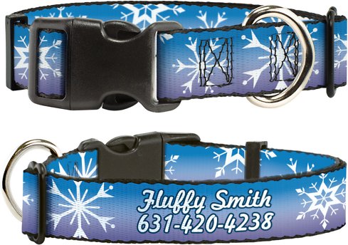 Buckle-Down Disney Frozen II Snowflakes Polyester Personalized Dog Collar, Medium