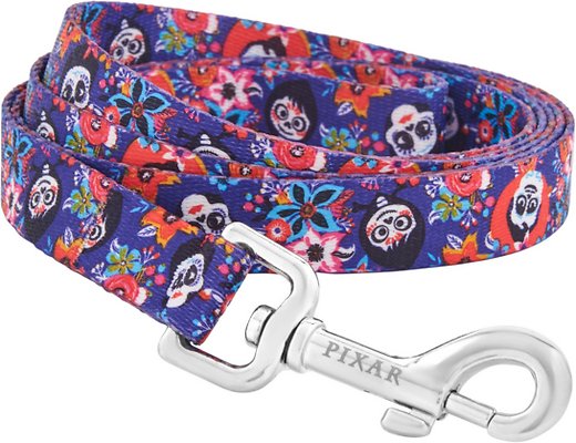 Pixar Coco Dog Leash, LG