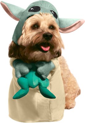 Rubie's Costume Company The Child Walking Dog &amp; Cat Costume, Large