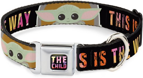 Buckle-Down Star Wars the Child Chibi Pod Pose Polyester Dog Collar, Medium: 11 to 16.5-in neck, 1-in wide