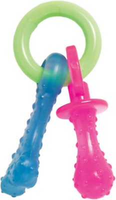 Nylabone Teething Pacifier Puppy Chew Toy