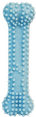 Nylabone Puppy Petite Dental Puppy Chew Toy, Blue