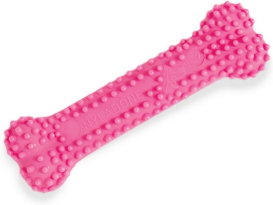 Nylabone Puppy Petite Dental Puppy Chew Toy, Pink