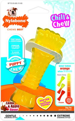 Nylabone Puppy Chew Freezer Lamb &amp; Apple Flavored Puppy Chew Toy, Mini