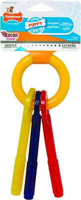 Nylabone Teething Keys Puppy Chew Toy, Small