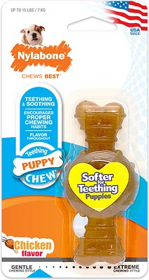 Nylabone Puppy Chew Ring Chicken Flavored Puppy Chew Toy, X-Small