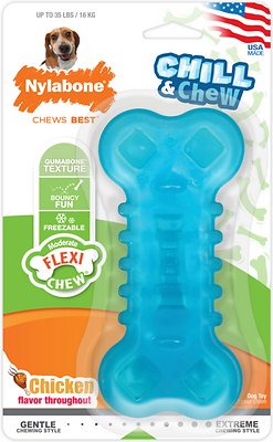 Nylabone Chill &amp; Chew Freezer Chicken Flavored Dog Chew Toy