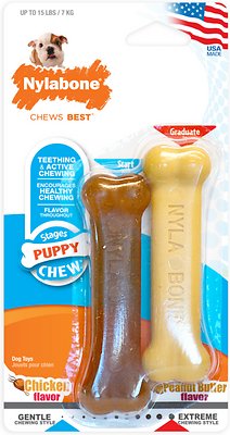 Nylabone Puppy Petite Twin Pack Puppy Chew Toy