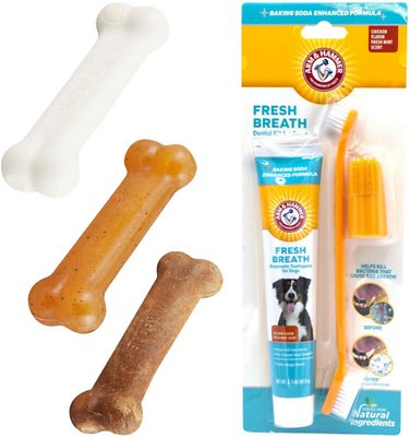 Nylabone Puppy Chew Starter Kit Triple Pack Chew Toy + Arm &amp; Hammer Dental Fresh Breath Enzymatic Dog Toothpaste &amp; Brush Kit