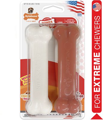 Nylabone DuraChew Twin Pack Bacon &amp; Chicken Flavored Dog Chew Toy, Medium