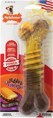 Nylabone DuraChew Flavor Frenzy Cheesesteak Flavored Dog Chew Toy, Souper