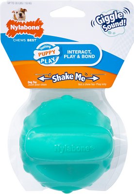 Nylabone Giggle Ball Puppy Teething Toy