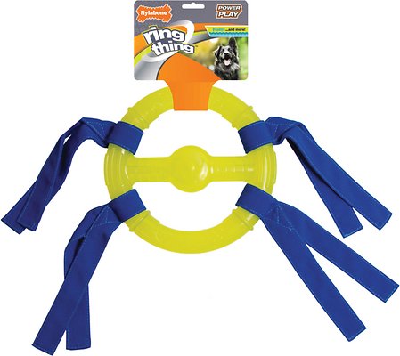Nylabone Power Play Ring Thing Dog Toy