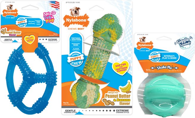 Nylabone Chews Best Chew Teething Dog Toy, 3 count