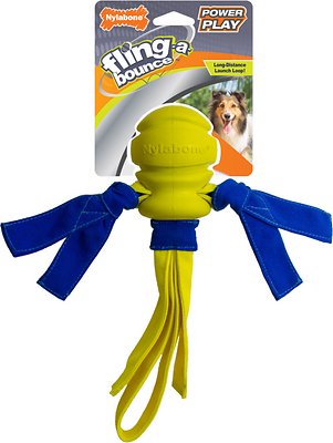 Nylabone Power Play Fling-a-Bounce Fetch Dog Toy