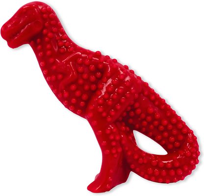 Nylabone Dental Chew Dinosaur Power Beef Flavor Dog Toy