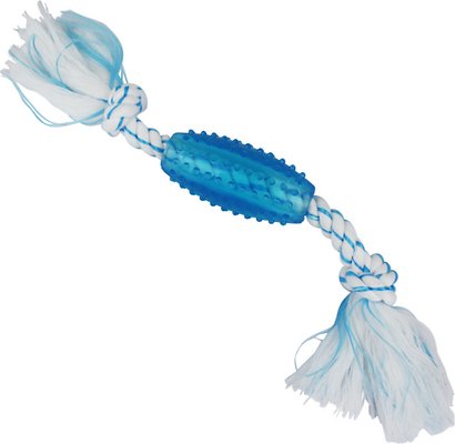 Multipet Canine Clean Mint Tube Rope Tough Dog Chew Toy, Blue
