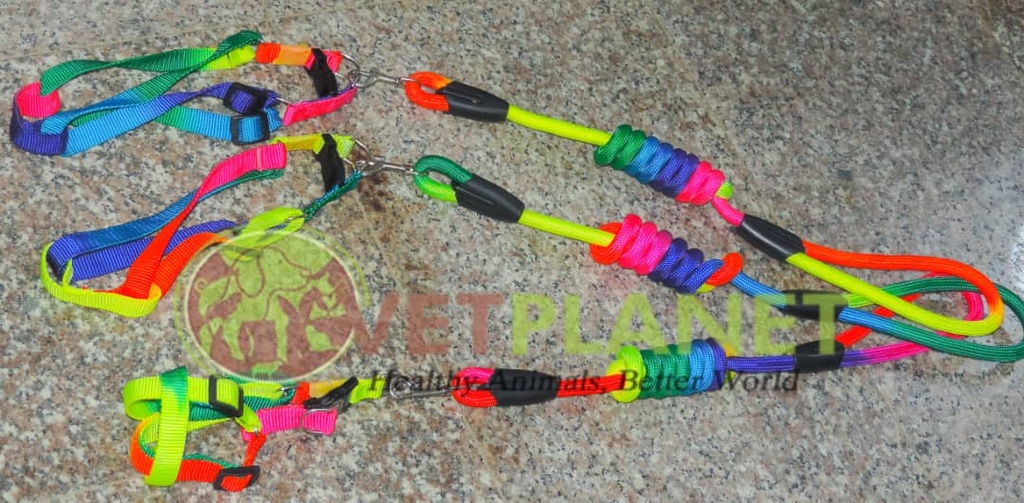 Harness and Leash rainbow colour