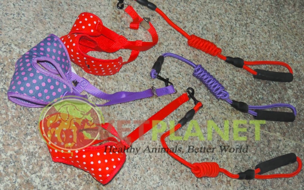 Single Colour Harness and Leash