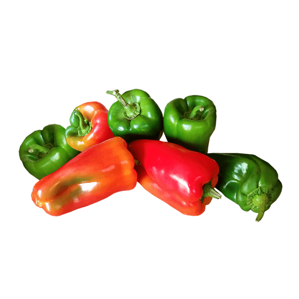 Organic Capsicum