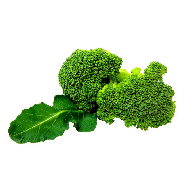 Organic Broccoli