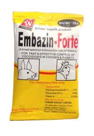 embazine fort