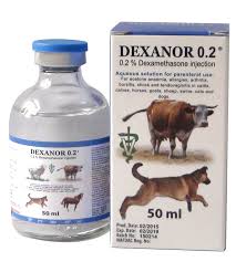 Dexanor 0.2% injectable anti-inflammatory for veterinary use 100ml