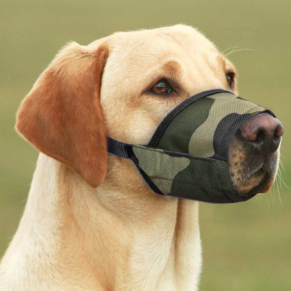 Dog mouth mask