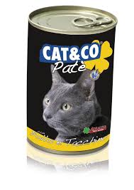 cat&amp;co 405g can Food for ?? cat