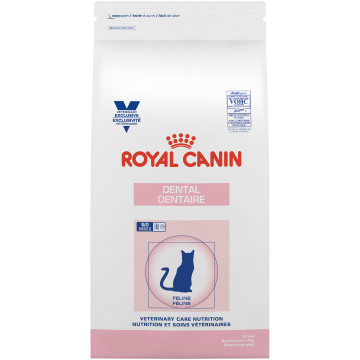 Royal Canin Dental Dry Cat Food