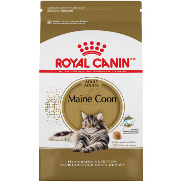 Royal Canin Maine Coon Adult Dry Cat Food